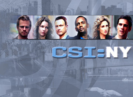 CSI:NY seasons 1-8 dvd image 001