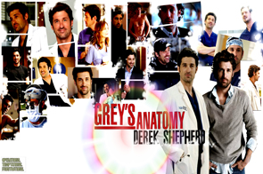 Grey's Anatomy 1-9 image 002