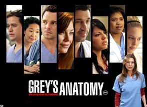 Grey's Anatomy 1-8 image 002