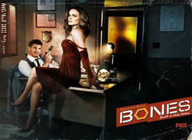Bones Seasons 1-5 box set