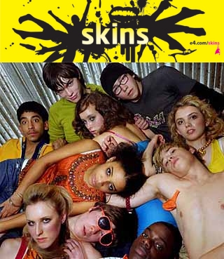 skins seasons 1-4 dvd box set