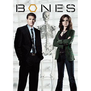 Bones Seasons 1-8 DVD Box Set