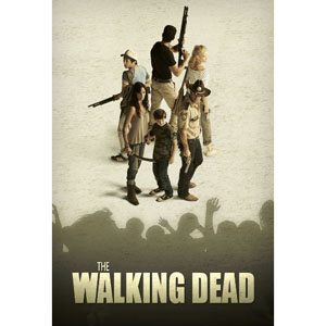 The Walking Dead Season 4 DVD Box Set