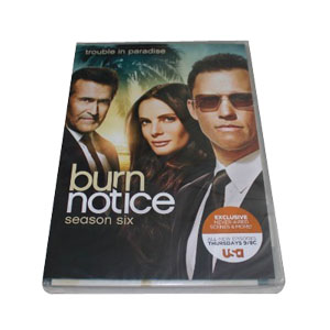 Burn Notice Season 6 DVD Box Set