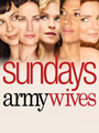 Army Wives Season 4 DVD Boxset