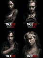 True Blood Seasons 1-4 DVD Boxset