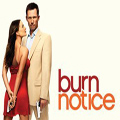 Burn Notice Season 5 DVD Box Set