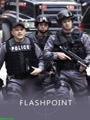 FlashPoint Seasons 1-4 DVD Box Set