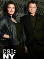CSI: NY Season 9 DVD Box Set