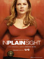 In Plain Sight Season 5 DVD Box Set