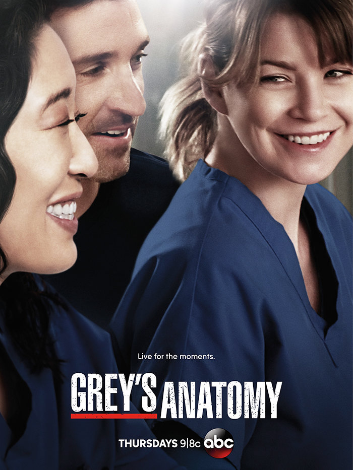 Grey's Anatomy Seasons 1-10 DVD Box Set