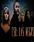 CSI Lasvegas Seasons 1-14 DVD Box Set