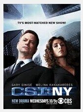 CSI: NY Seasons 1-9 DVD Box Set