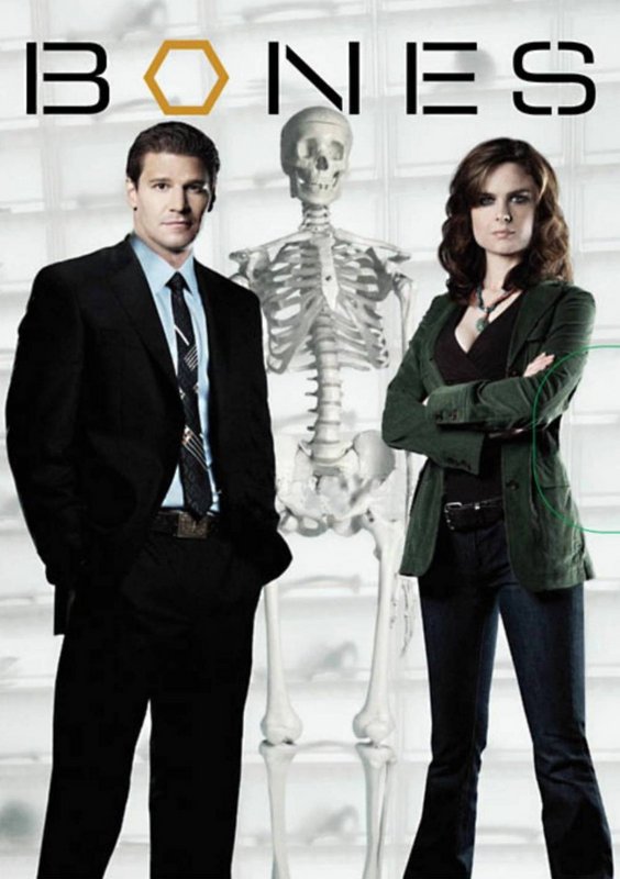 Bones Seasons 1-9 DVD Box Set