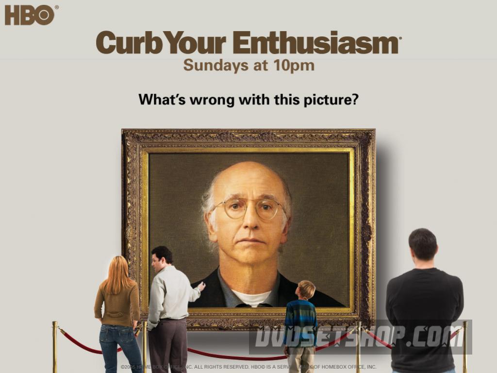 Curb Your Enthusiasm Seasons 1-6 DVD Boxset